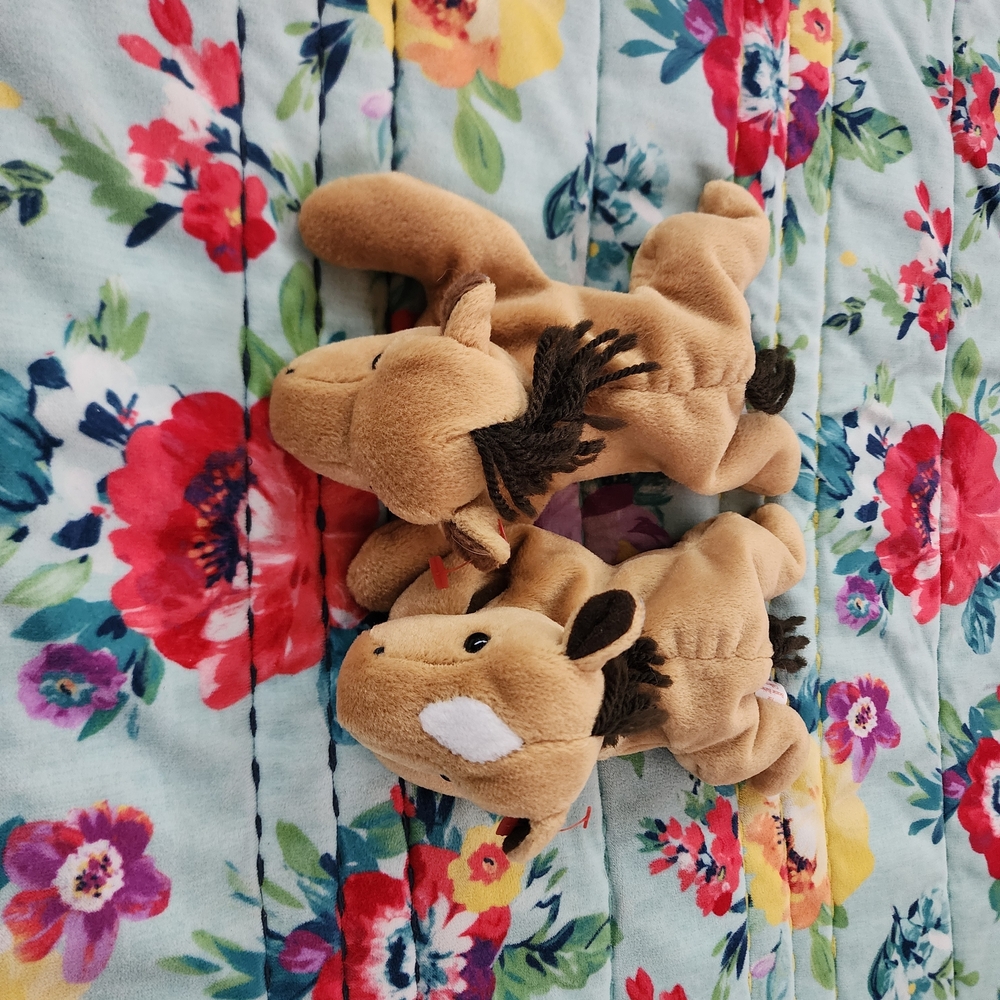 Ty Beanie Babies Derby 1 And 2 No Tag